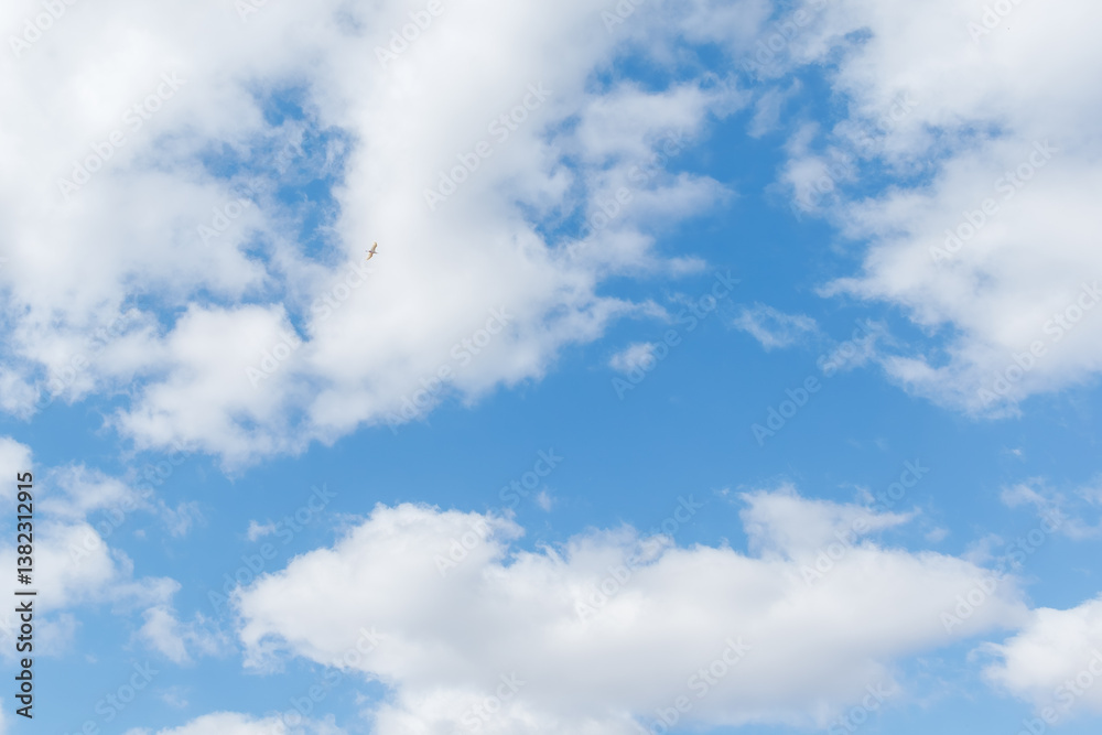 Blue Sky with Clouds and Bird Soaring High Blue Sky with Clouds and Bird Soaring High