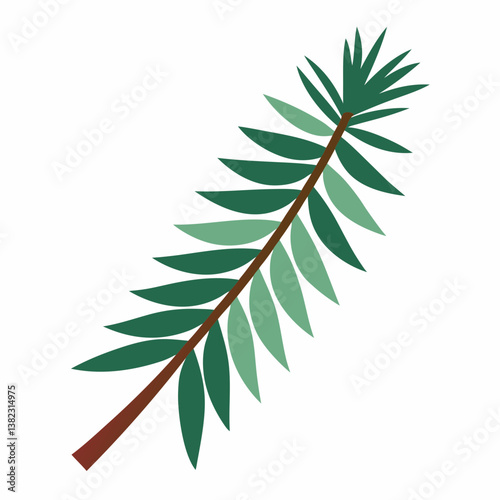 pine branch with cones