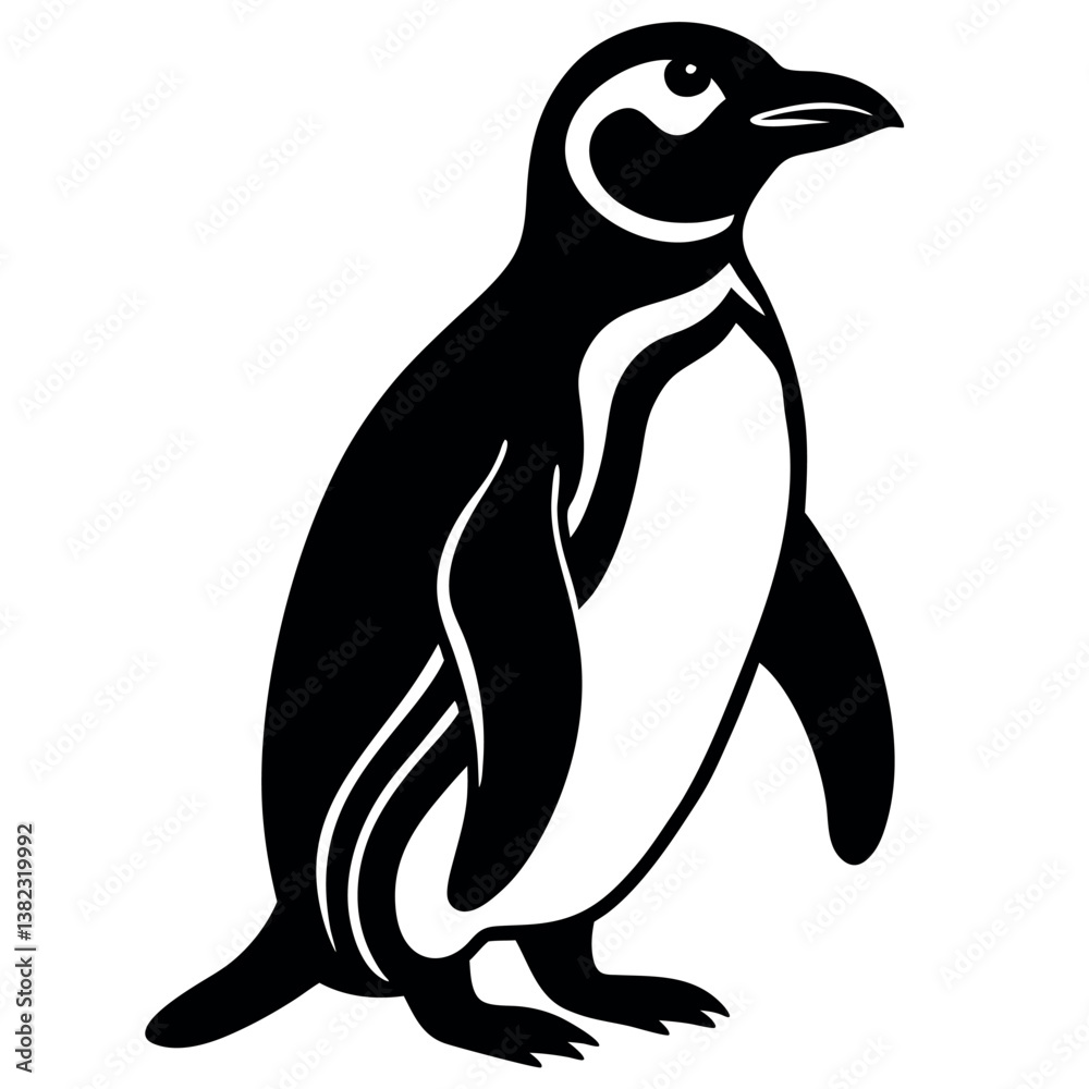 Fototapeta premium African-penguin 