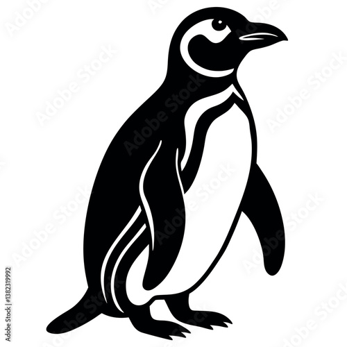 African-penguin  