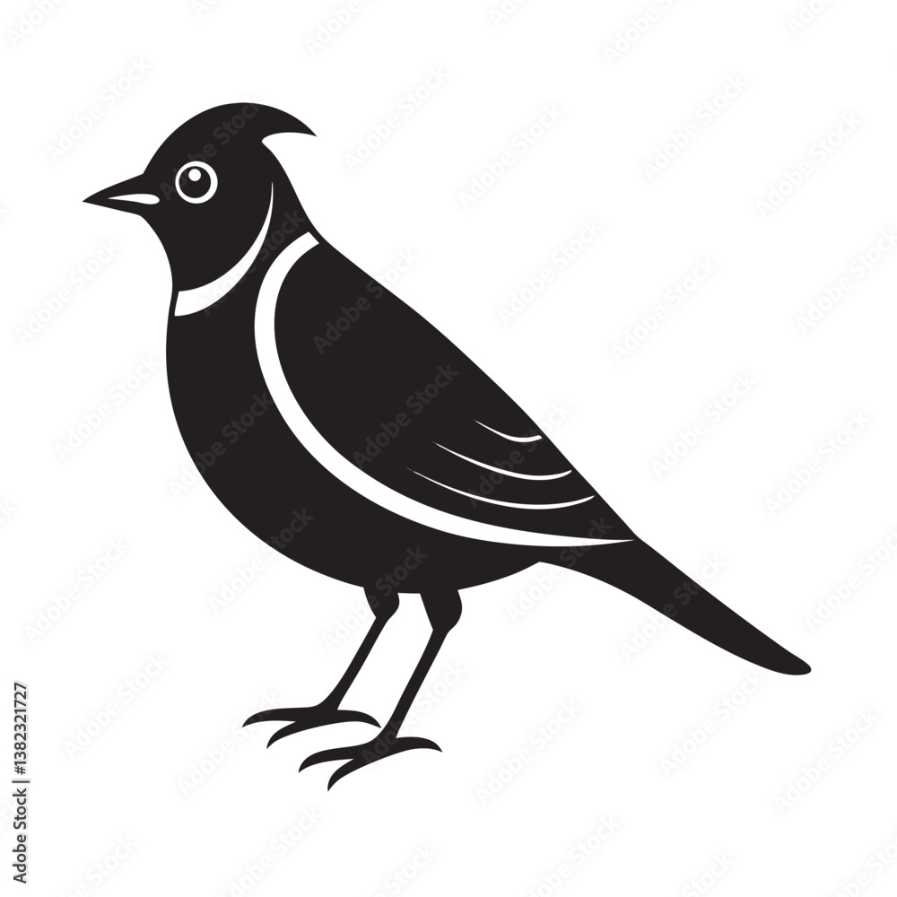 Obraz premium Bohemian waxwing silhouette on a branch, a wild bird art illustration