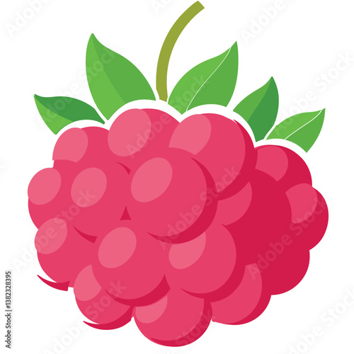 raspberries-vector-on-white-background 