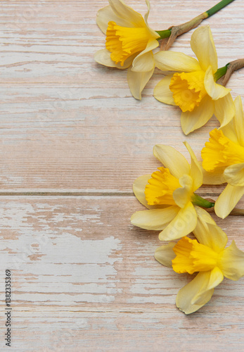 Yellow daffodils creating a border on rustic white wooden background
