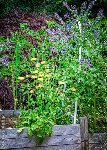 Blossoms on a lush spring garden before a storm