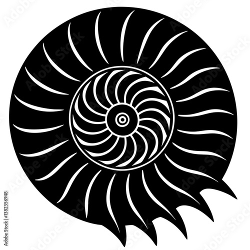 nautilus shell vector illustration