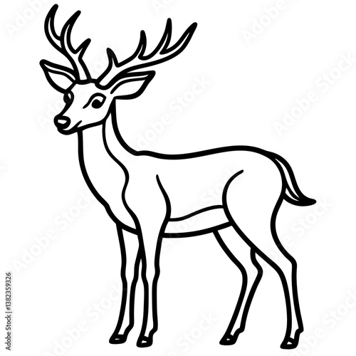 deer vector illustration
