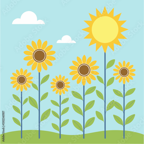 sunflowers in the field