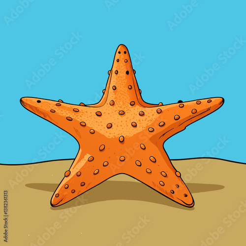 vector illustration of a starfish