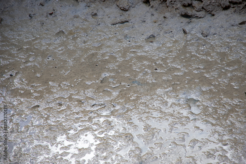 mud texture of water mudflats surface as background closeup floor streak mud texture of water mudflats surface as background closeup floor streak