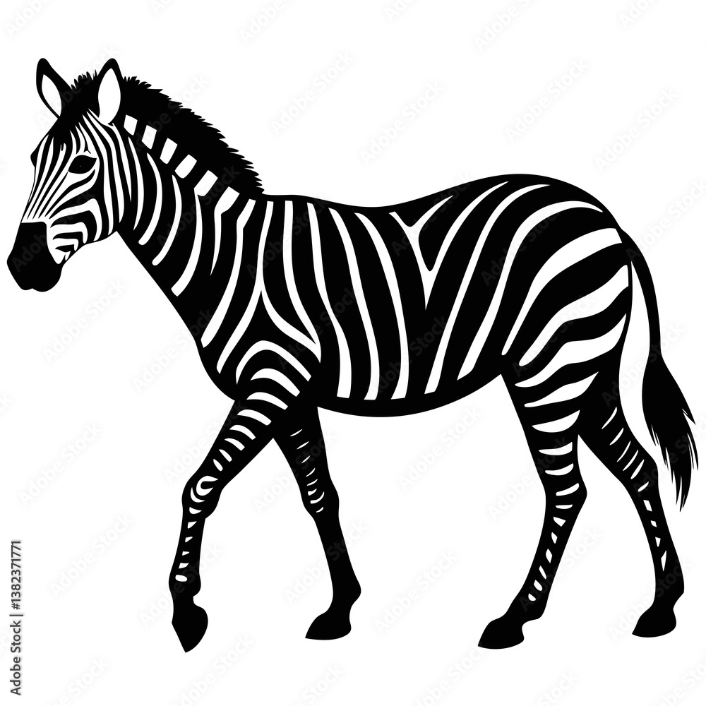 Obraz premium zebra isolated on white background