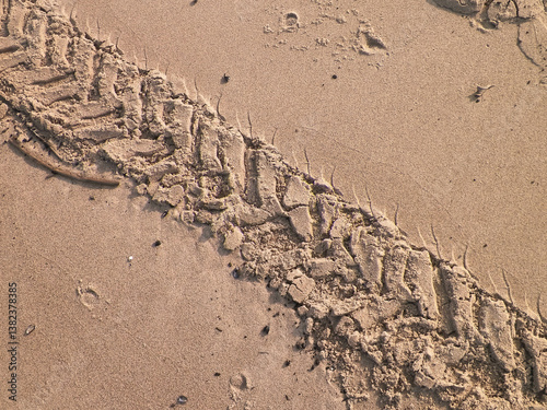 Tire track on sand of desert or beach.