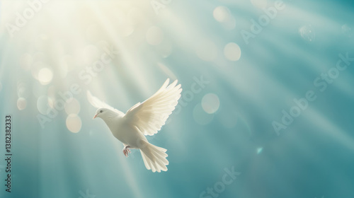 Wallpaper Mural White dove flying in the sky, peace concept Torontodigital.ca