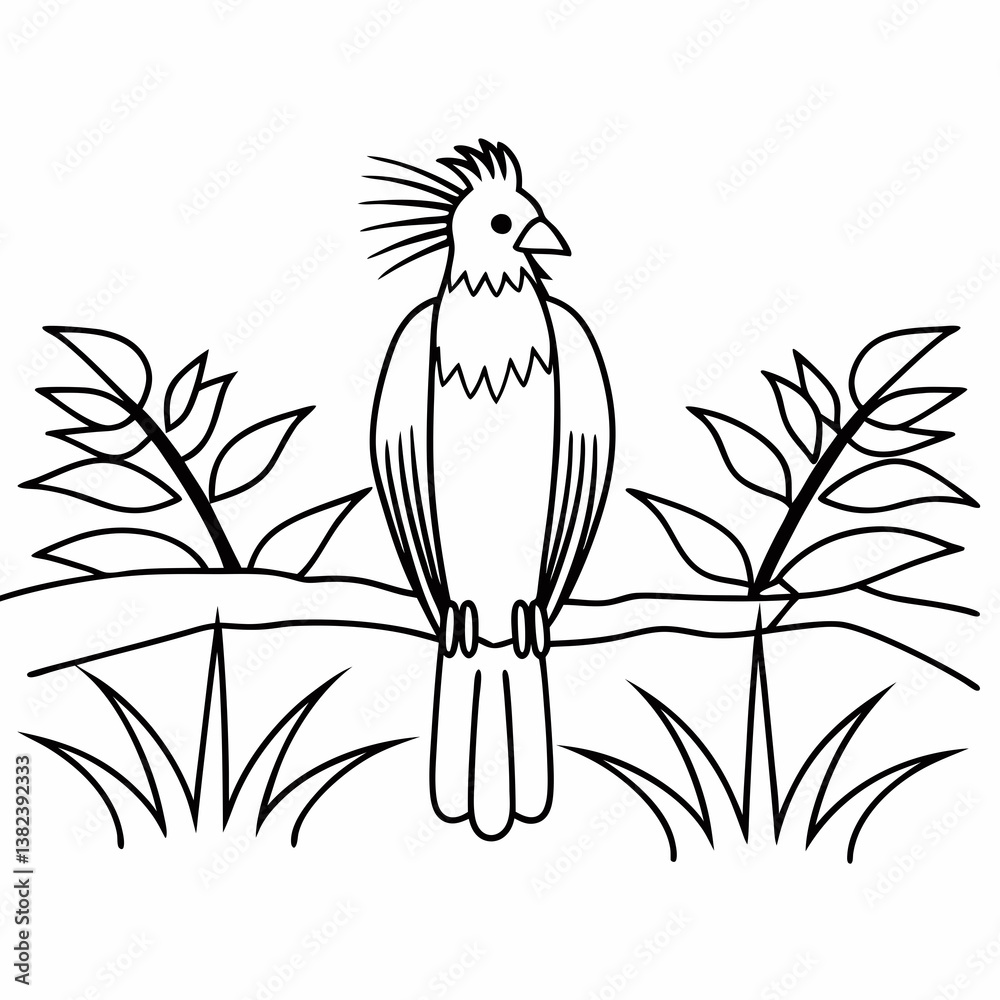Naklejka premium vector illustration of a bird