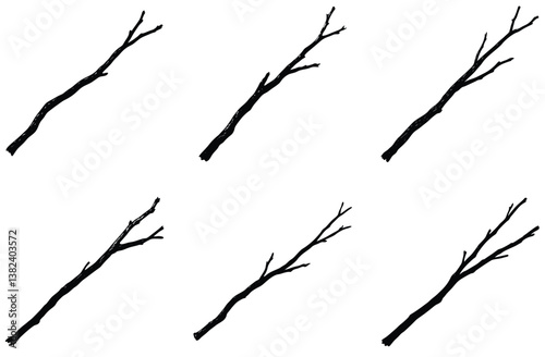 Six HandDrawn Black Twigs with Branches on White Background, Botanical Element
