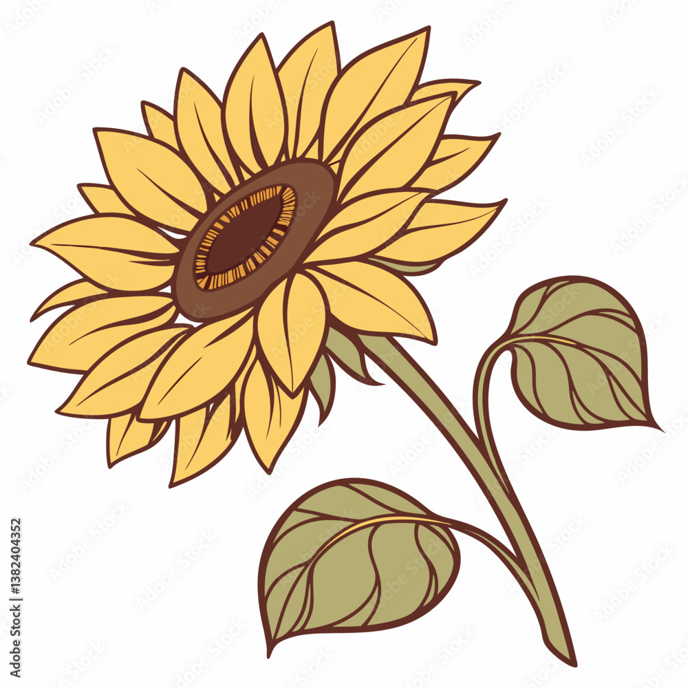 Fototapeta premium sunflower vector illustration