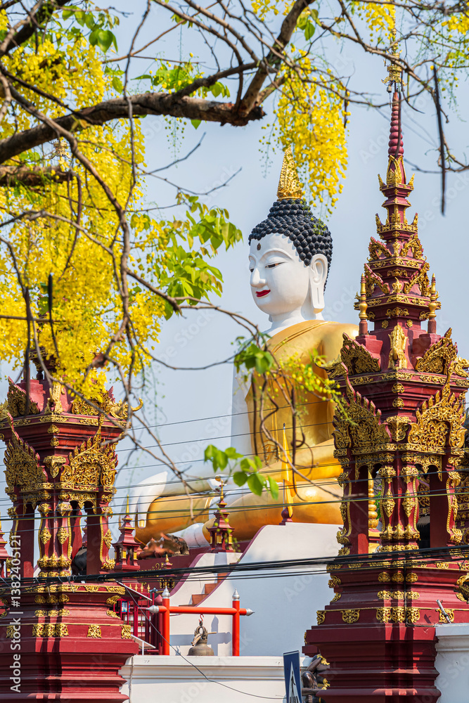 Beautiful Cassia Fistula around Buddha statue Instant God in Wat Rajamontean temple the wall of moat in Chiang Mai Northern Thailand.for Songkran Festival