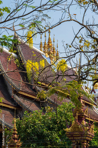 Beautiful Cassia Fistula around Buddha statue Instant God in Wat Rajamontean temple the wall of moat in Chiang Mai Northern Thailand.for Songkran Festival