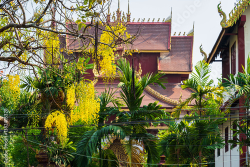 Obraz na płótnie Beautiful Cassia Fistula around Buddha statue Instant God in Wat Rajamontean temple the wall of moat in Chiang Mai Northern Thailand.for Songkran Festival w salonie