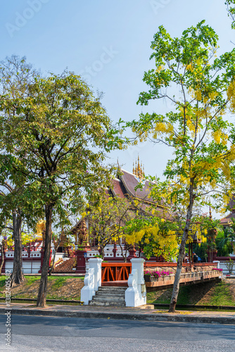 Obraz na płótnie Beautiful Cassia Fistula around Buddha statue Instant God in Wat Rajamontean temple the wall of moat in Chiang Mai Northern Thailand.for Songkran Festival w salonie