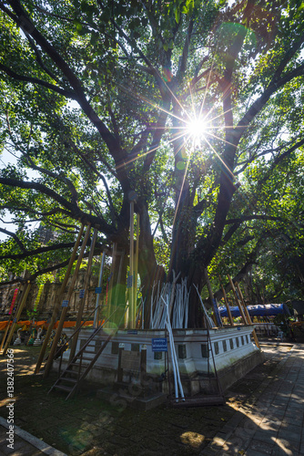 Obraz na płótnie Wat Chet Yot or Wat Photharam Maha Wihan, seven pagoda temple It is a major tourist attraction in Chiang Mai, Thailand.with evening,Temple in Chiang Mai. w salonie