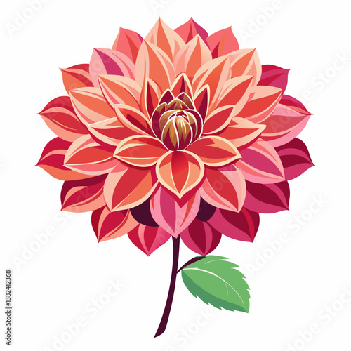 pink dahlia flower