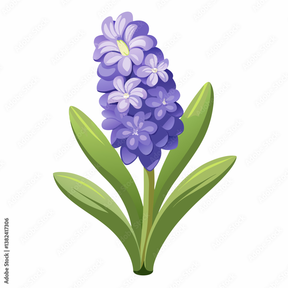 Obraz premium blue hyacinth on white background