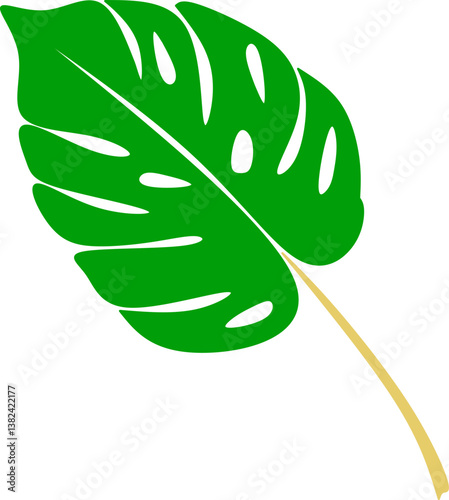 Monstera leaf design vector on color background, tropical leaf design image, tropical leaf design image on white background for template, banner and poster 