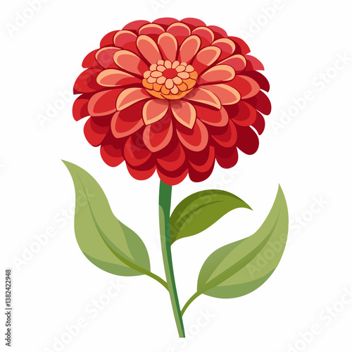 red dahlia flower