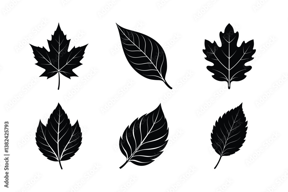 Obraz premium Vector Collection of Black Silhouette Leaves
