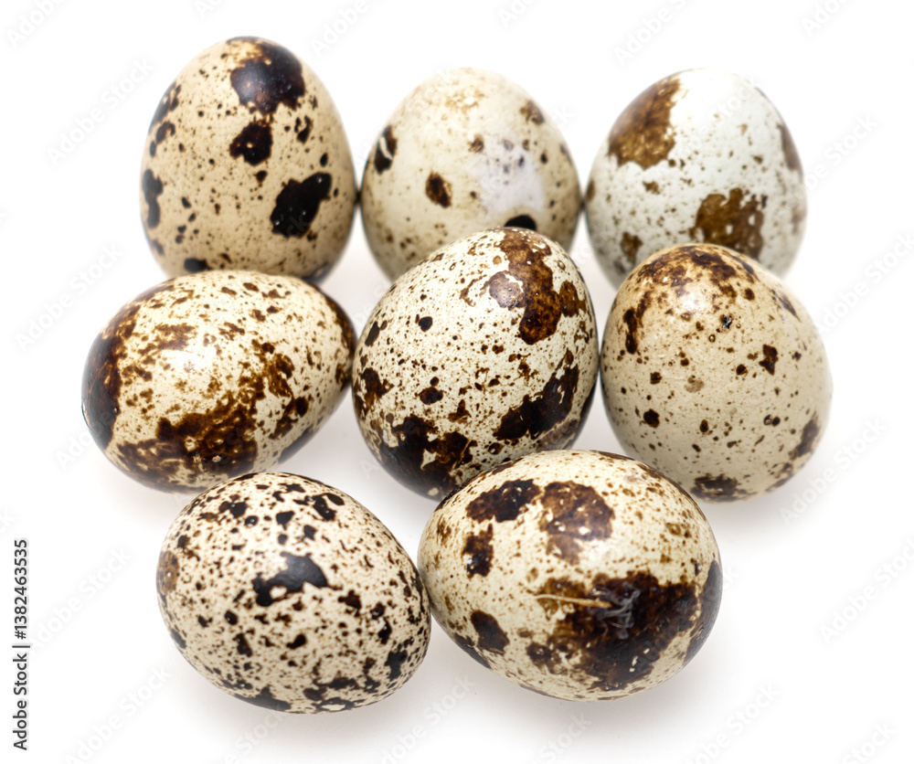 quail egg on white background. quail egg on white background.