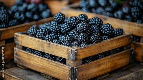 Obraz na płótnie Fresh blackberries in wooden crates w salonie