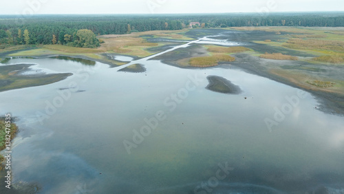 Obraz na płótnie Forest and dried lake under clear sky w salonie
