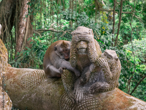 Long-tailed Macaque Hugging Monkey Statue in Ubud Monkey Forest, Bali