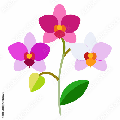 pink orchid flower