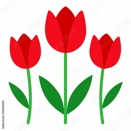 red tulips on white background