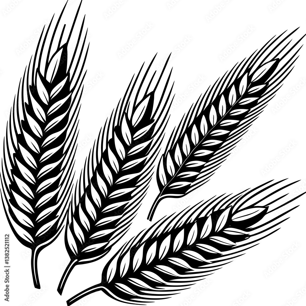 Obraz premium wheat ears vector