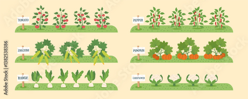 Gardening and farming concept banner. Nature background with beds of vegetables. Regenerative and sustainable farming concept. Vegetable cliparts. Vector background in flat style.