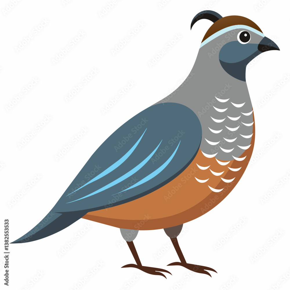 Fototapeta premium vector illustration of a bird
