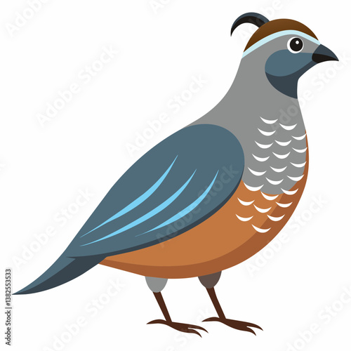 vector illustration of a bird