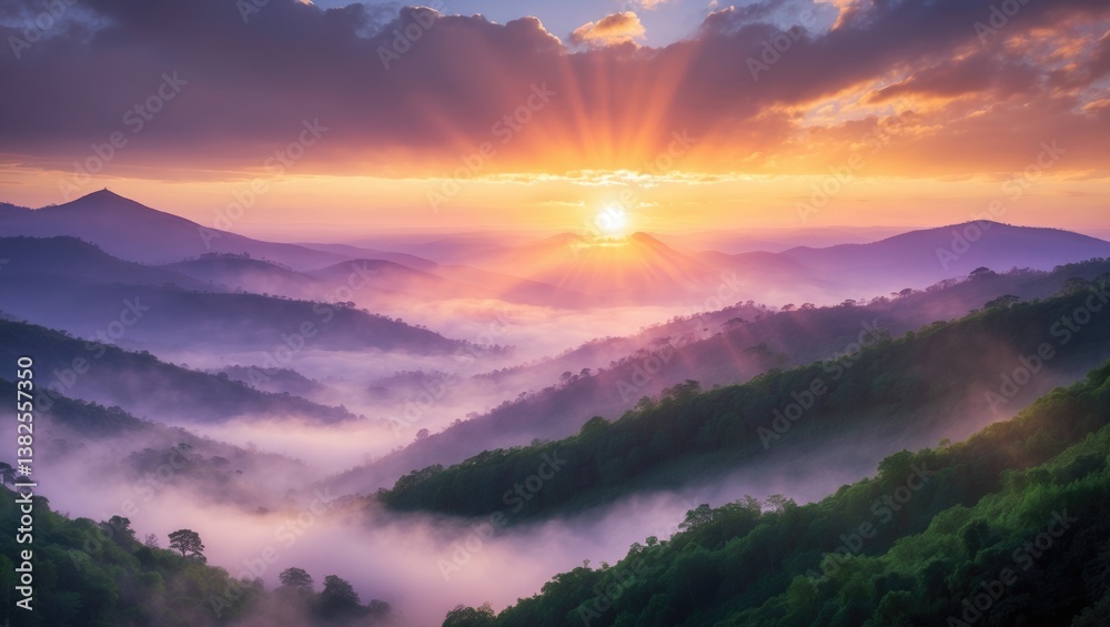 Naklejka premium Stunning mountain landscape at sunrise. View of misty hills blanketed by forest. Filtered photograph.