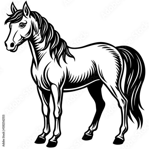 horse vector illustration