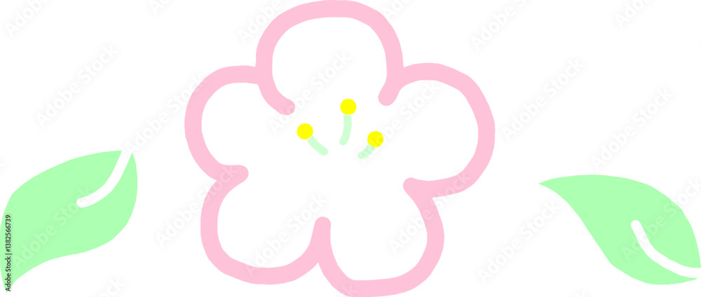 Fototapeta premium Cherry blossoms and flower