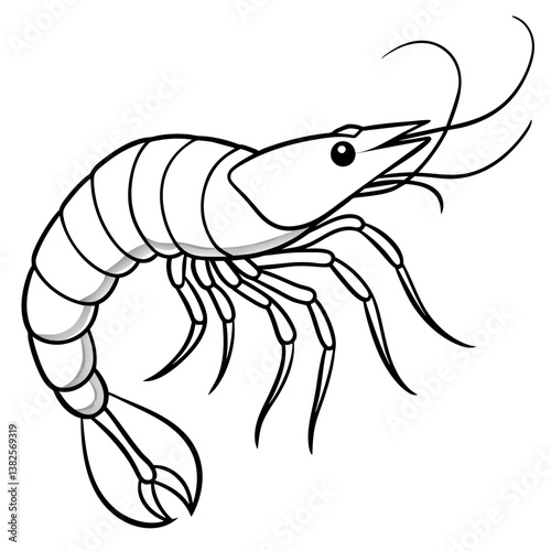 vector illustration of shrimp