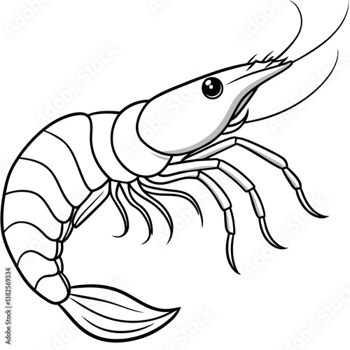 vector illustration of shrimp
