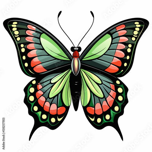 butterfly vector illustration