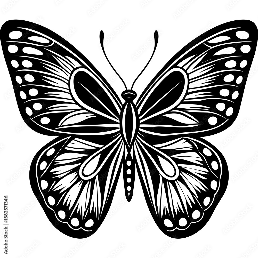 butterfly vector illustration butterfly vector illustration