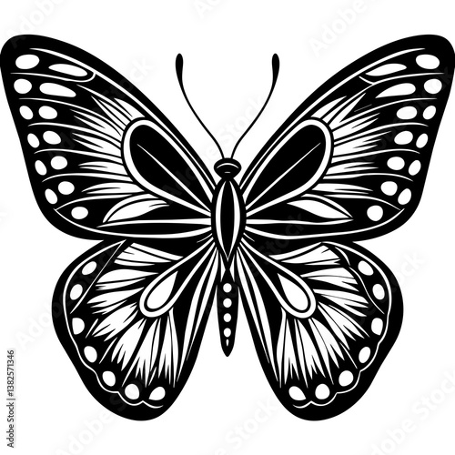butterfly vector illustration