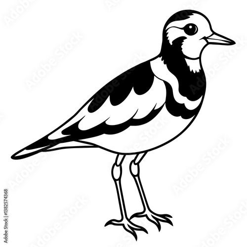 vector illustration of cartoon bird