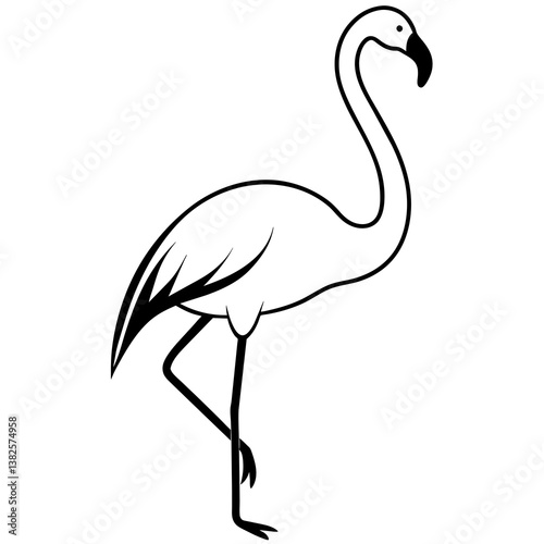flamingo vector illustration