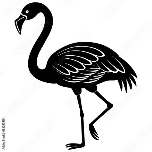 vector illustration of a flamingo